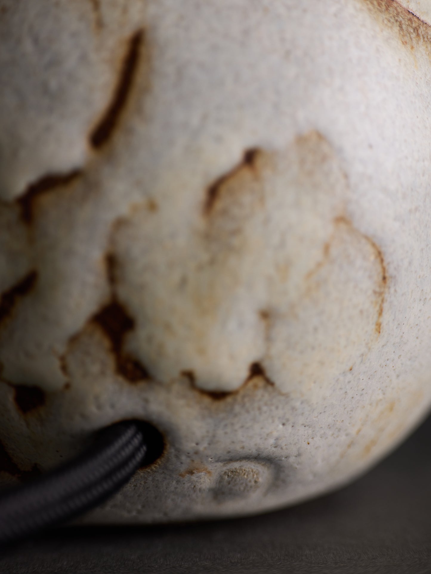 Echinacea Table Lamp